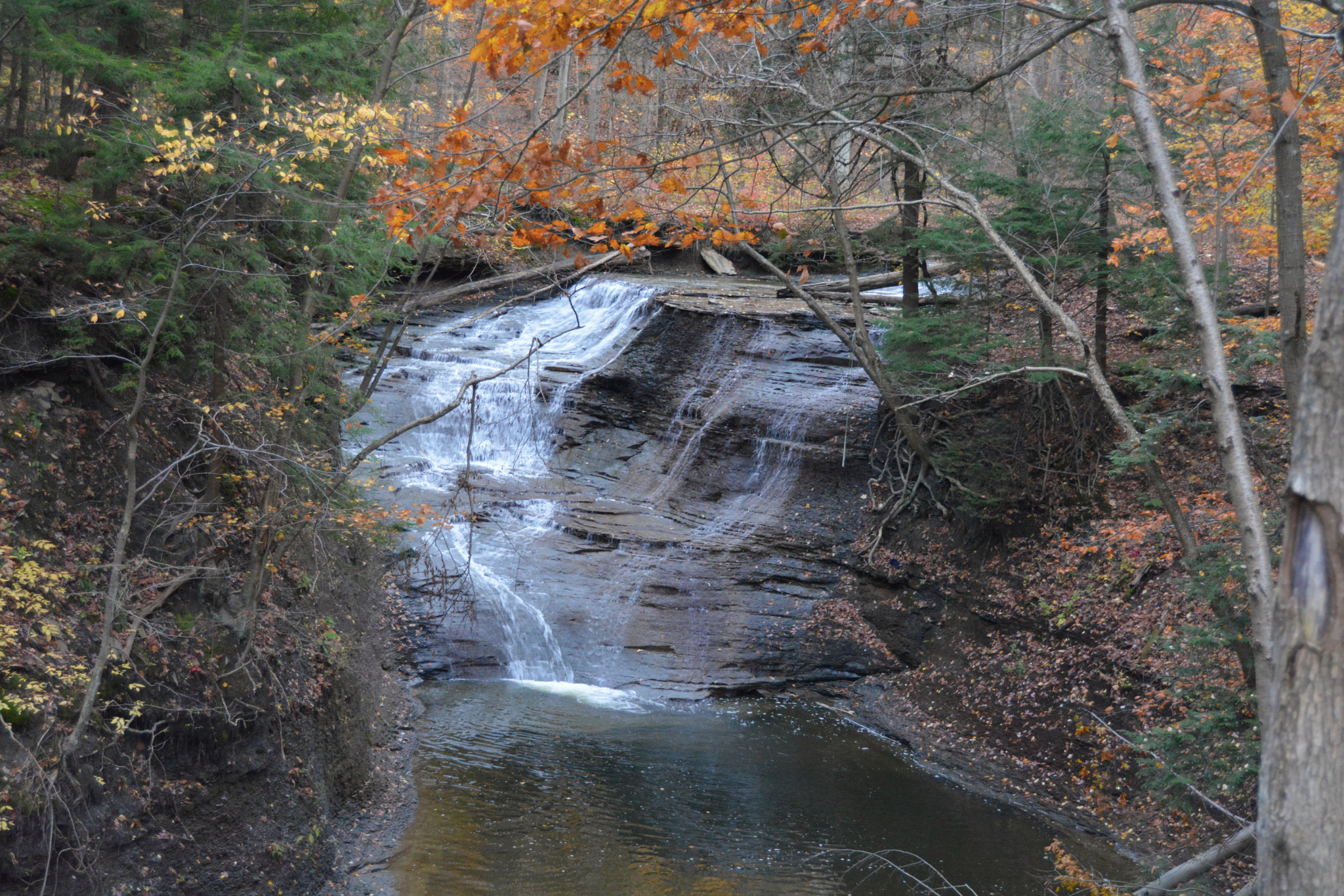 Nikon D5200 sample photo