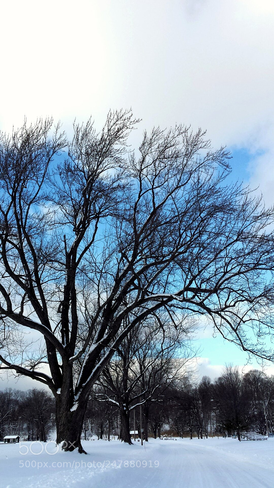 Samsung Galaxy S4 sample photo. Untitled photography