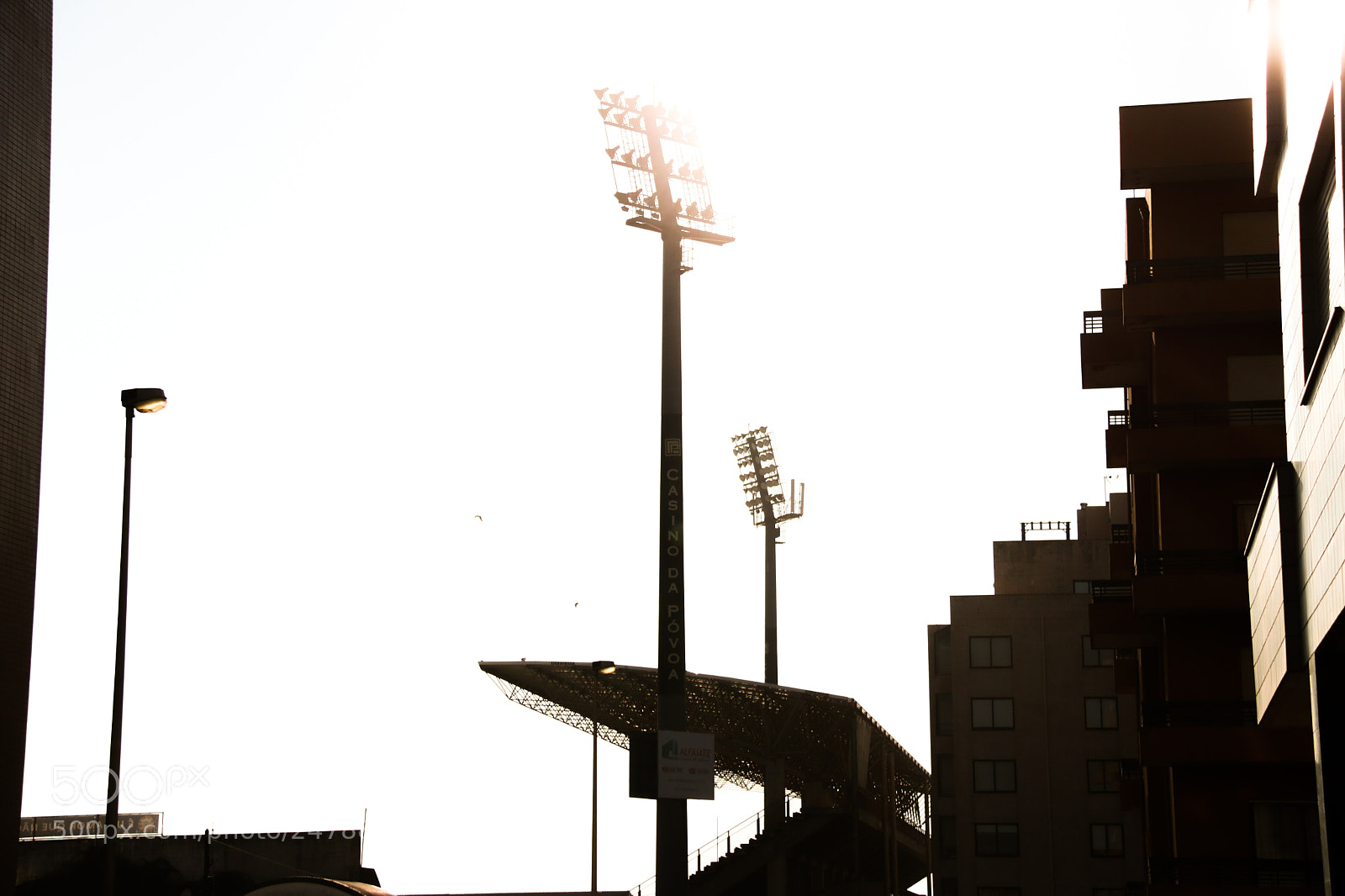 Canon EOS 80D sample photo. Estadiovarzim photography