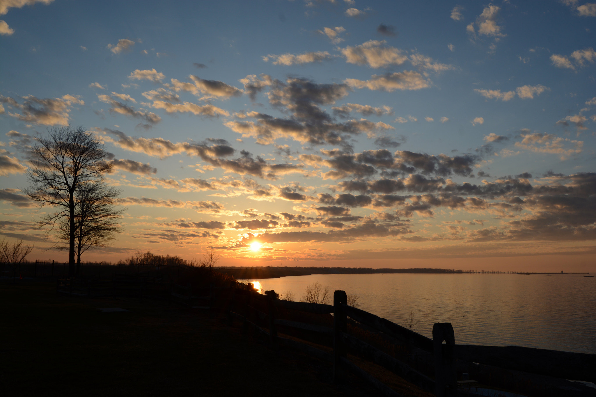 Nikon D5200 sample photo