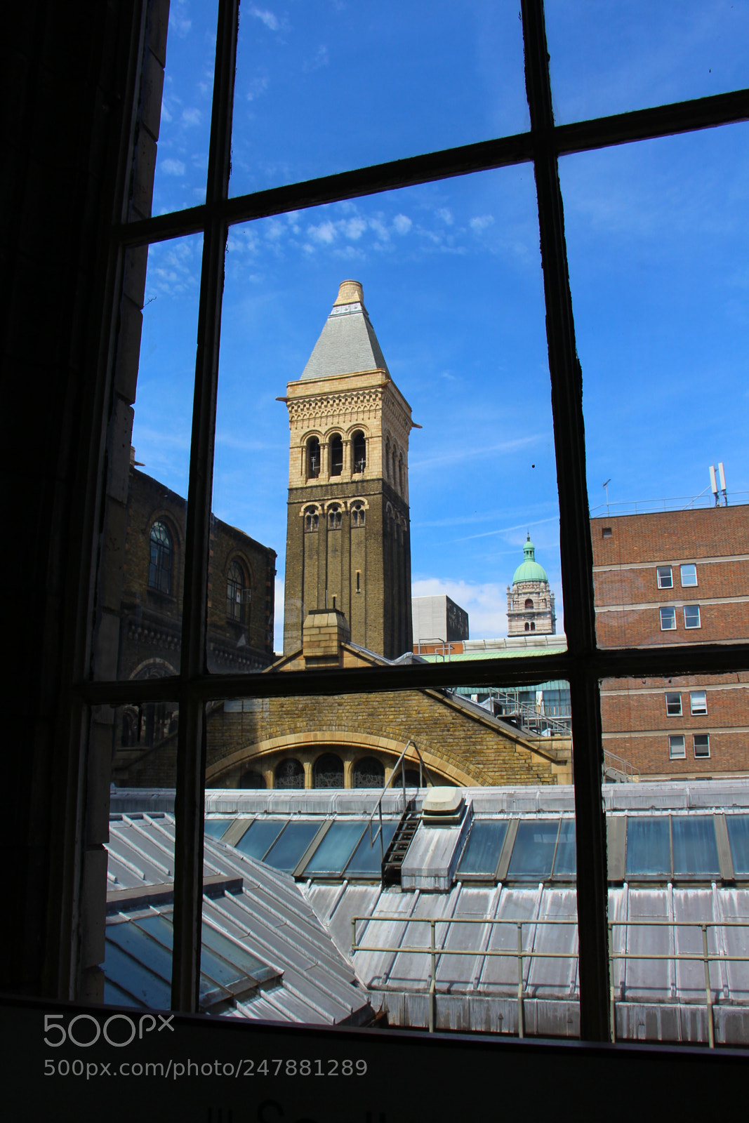 Canon EOS 700D (EOS Rebel T5i / EOS Kiss X7i) sample photo. Natural history museum photography