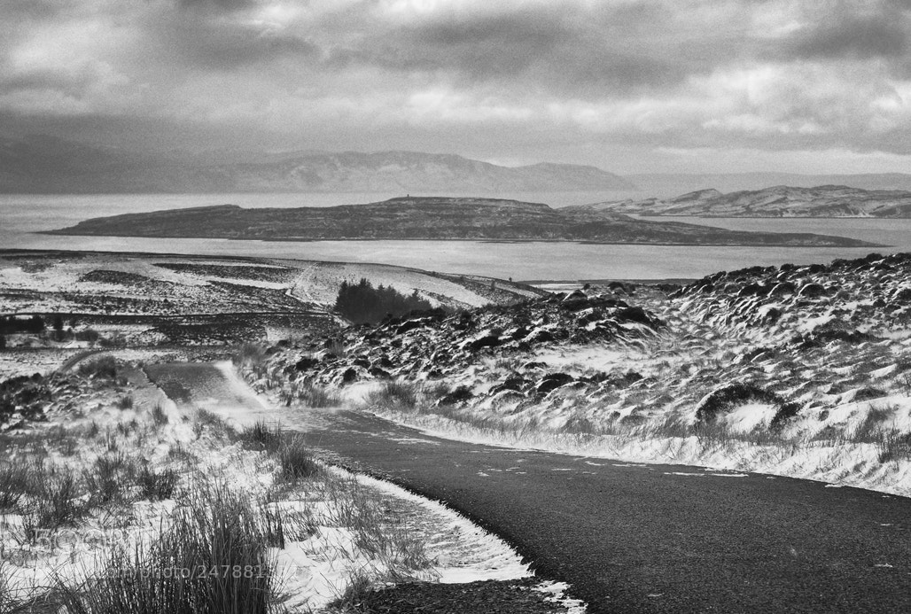 Olympus OM-D E-M5 II sample photo. Fairlie moor road photography