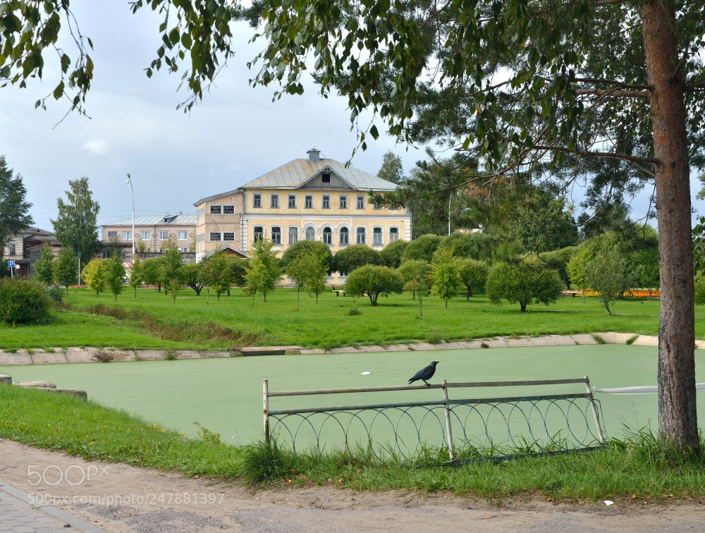 Nikon D800 sample photo. Устье Кубенское. #1 photography