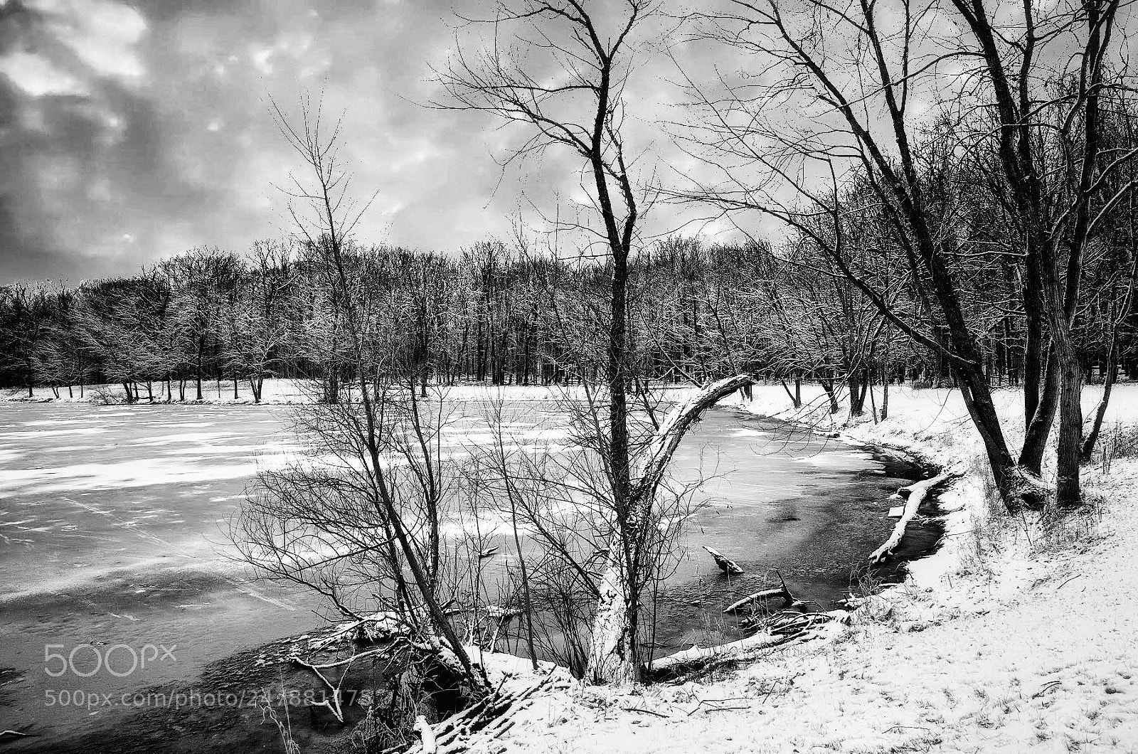 Nikon D600 sample photo. Winter photography