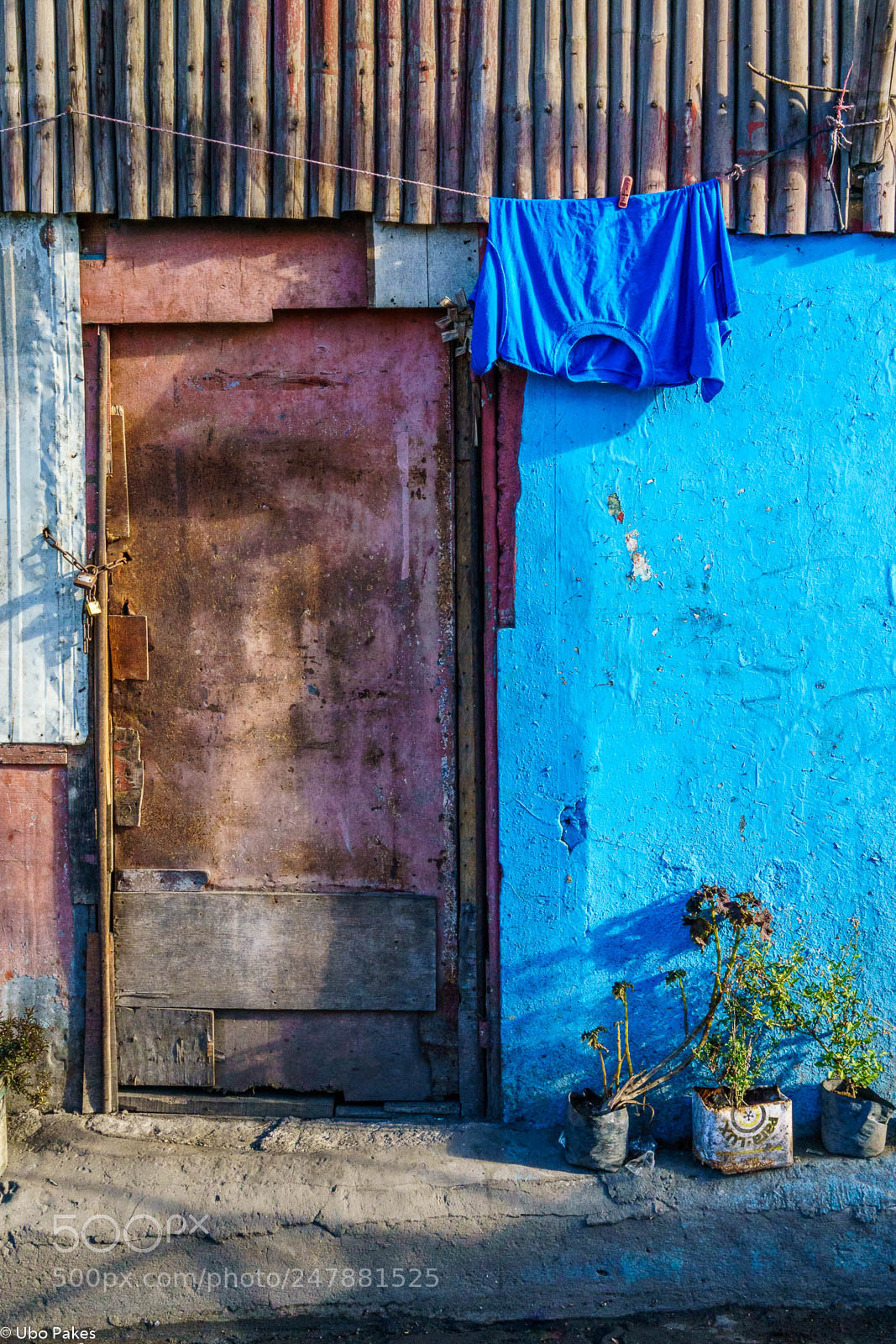 Sony a6300 sample photo. Feeling blue photography