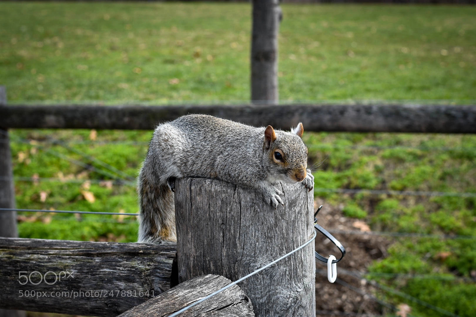 Nikon D3400 sample photo. Looking at you photography