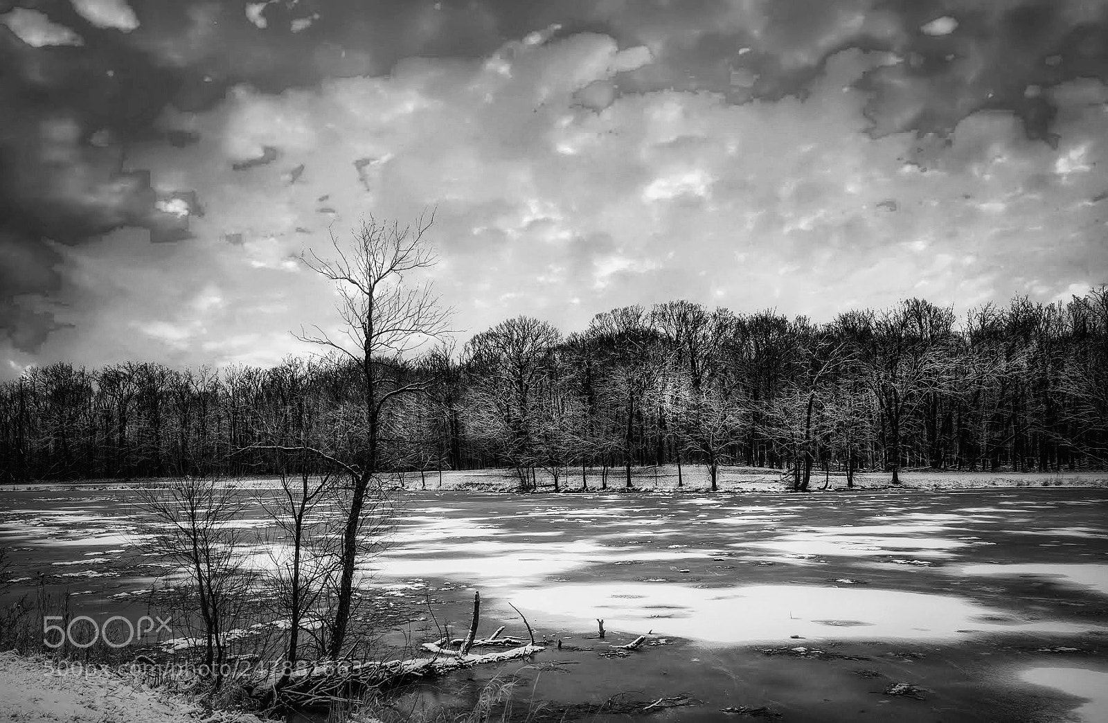 Nikon D600 sample photo. Winter-2 photography