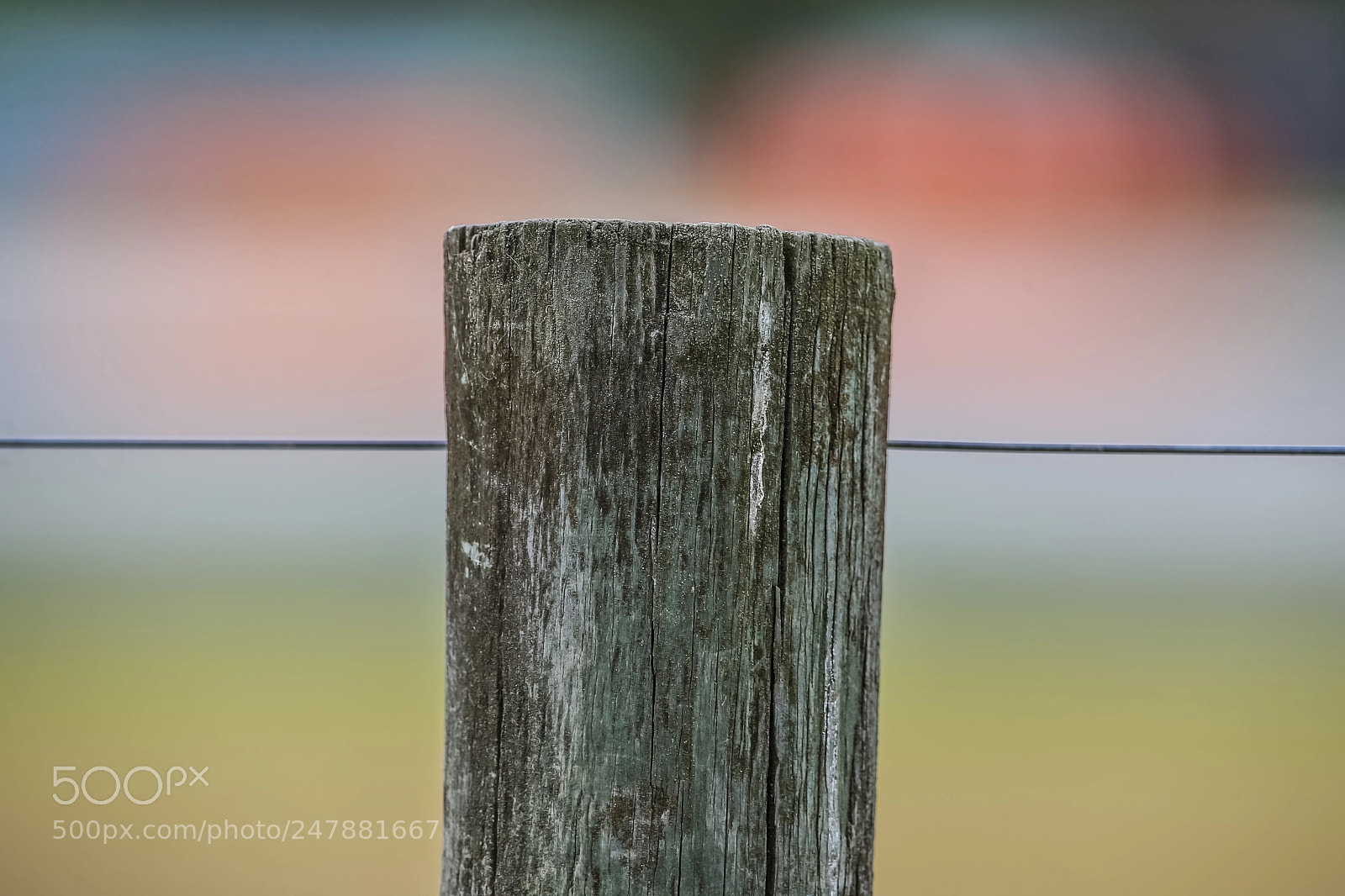 Canon EOS-1D X sample photo. Fence post photography