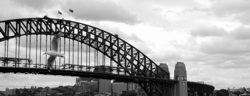 Nikon D40 sample photo. The bridge behind the photography