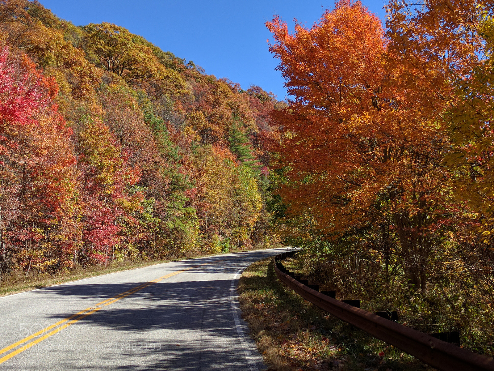 LG Nexus 5X sample photo. Fall foliage photography