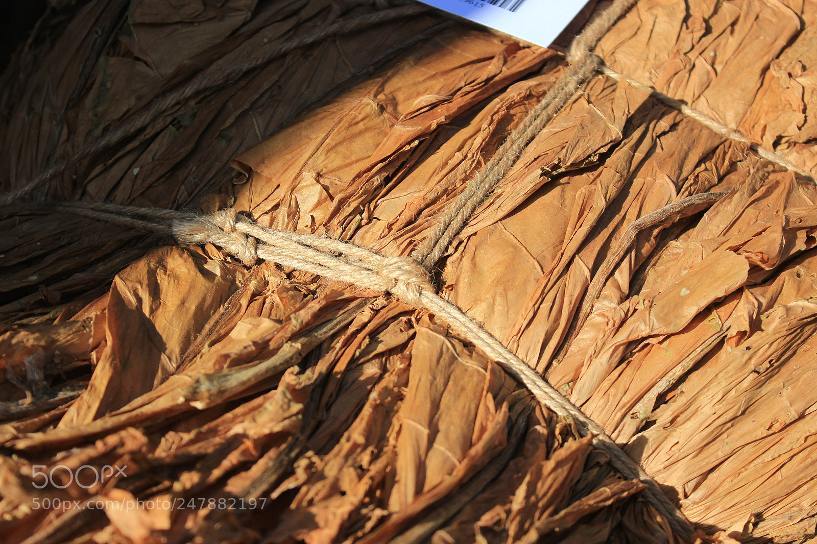 Canon EOS 600D (Rebel EOS T3i / EOS Kiss X5) sample photo. Fardo de tabaco photography