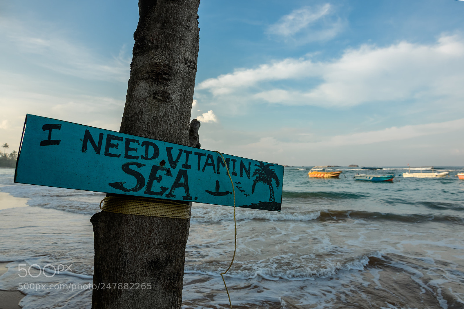 Nikon D7500 sample photo. I need vitamin sea photography