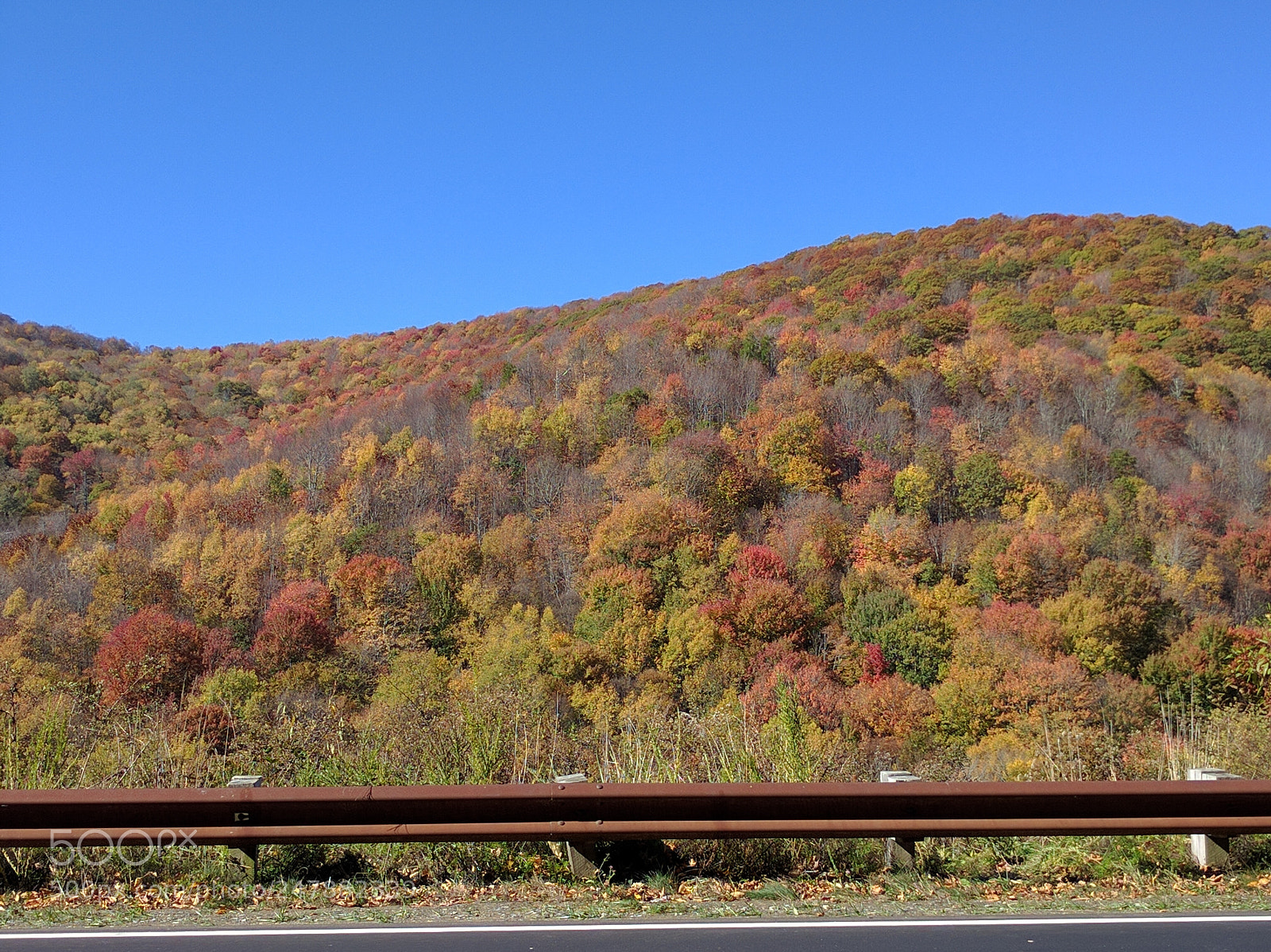LG Nexus 5X sample photo. Fall foliage photography