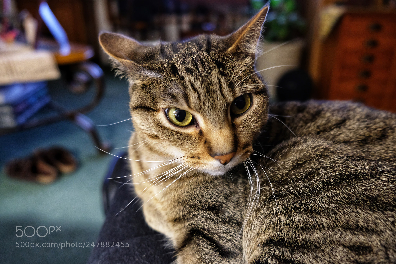 Fujifilm X-T20 sample photo. Untitled photography