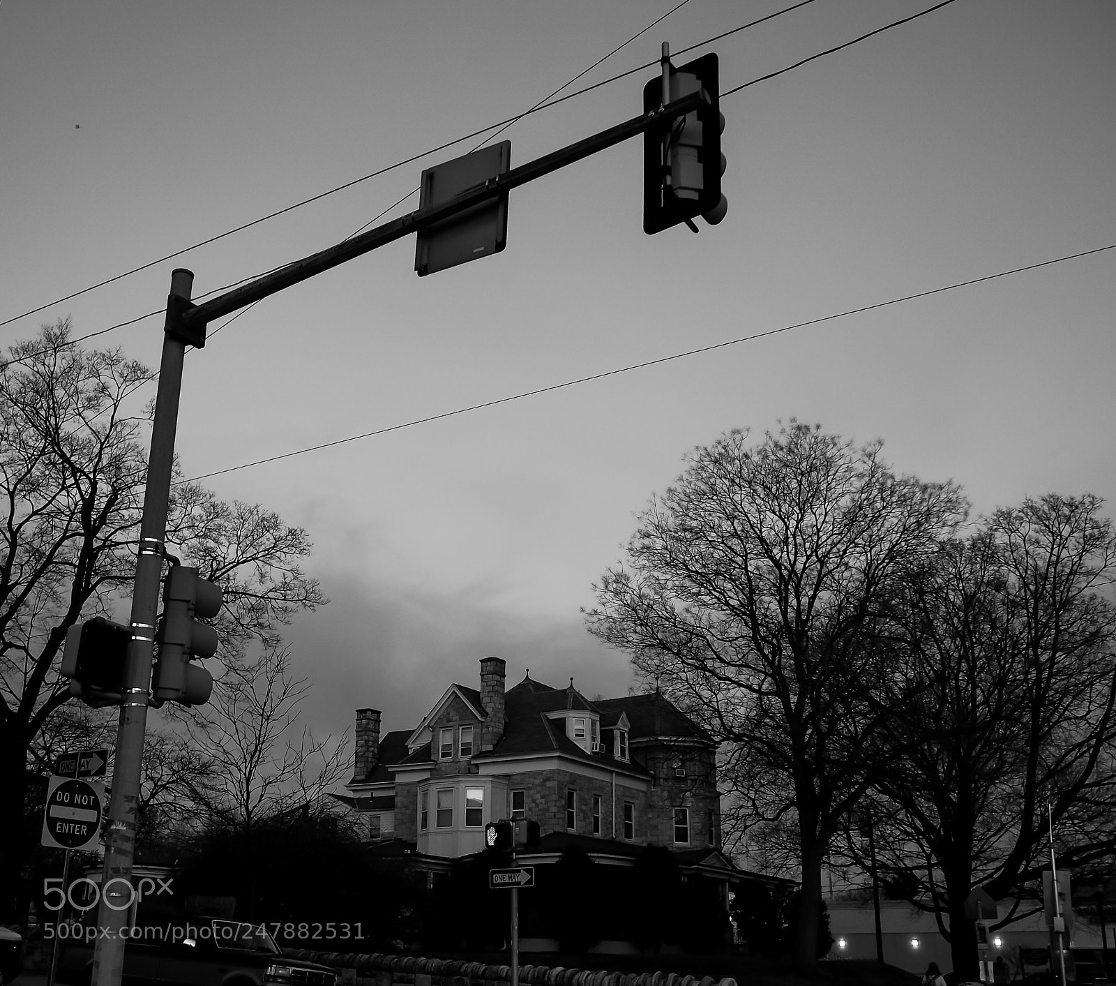 Olympus OM-D E-M10 II sample photo. They re creepy and photography