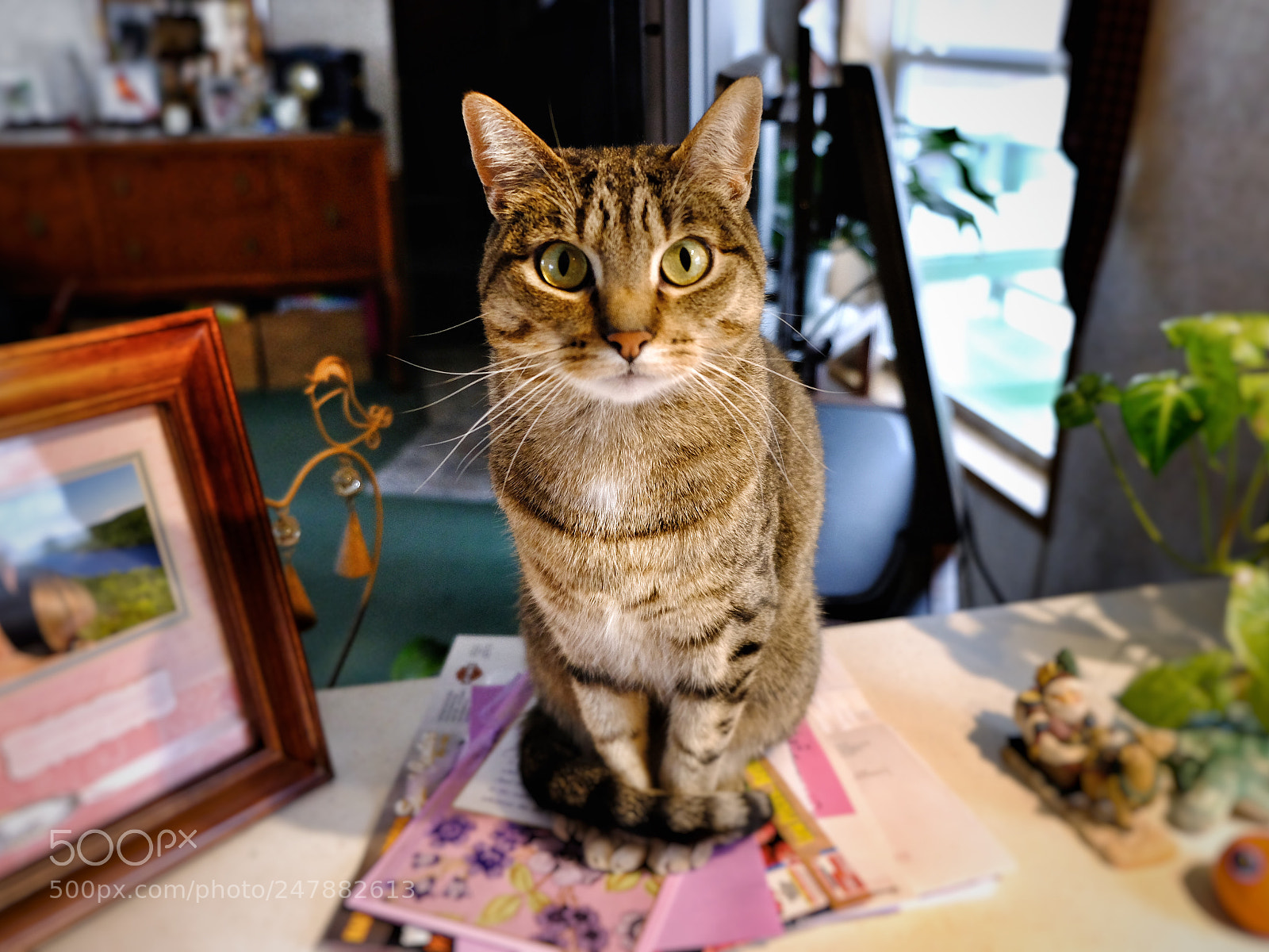 Fujifilm X-T20 sample photo. Untitled photography