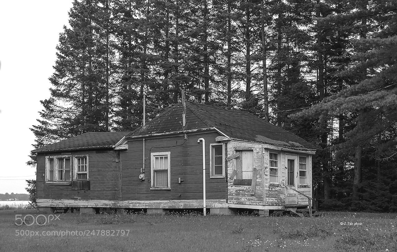 Canon EOS 80D sample photo. Old shack ... photography
