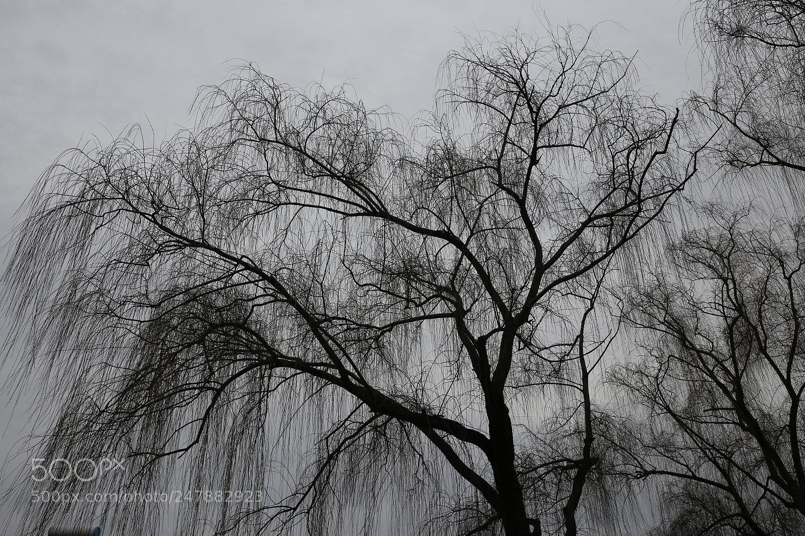 Sigma 35mm F1.4 DG HSM Art sample photo. Chinese style x 水墨畫 photography