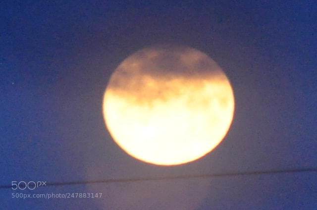 Nikon D5000 sample photo. Misty moon photography
