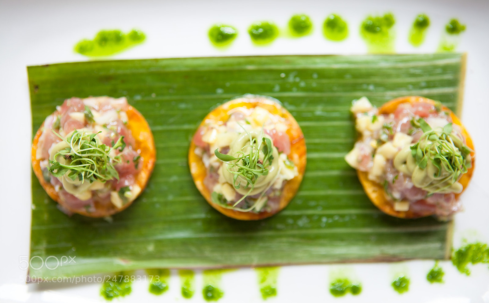 Canon EOS 5D Mark II sample photo. Ceviche modern mexican appetizer photography