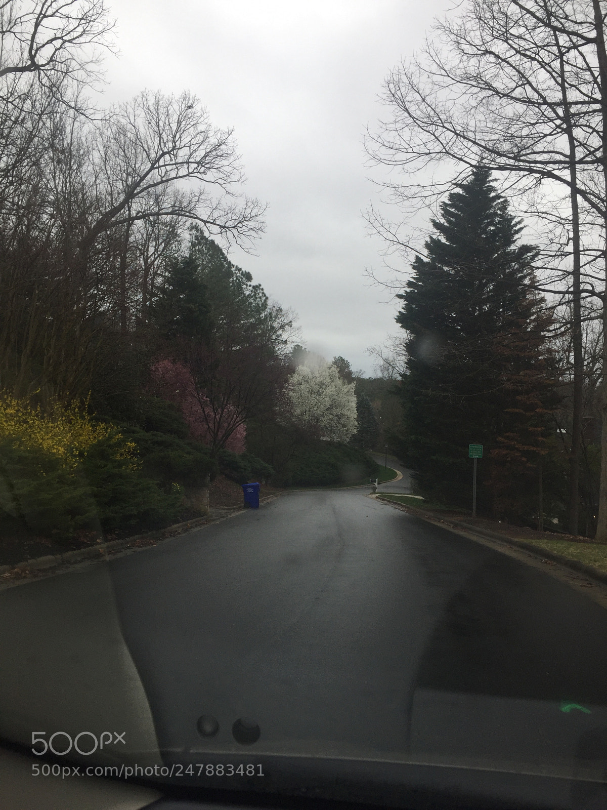 Apple iPhone 6 sample photo. Untitled photography