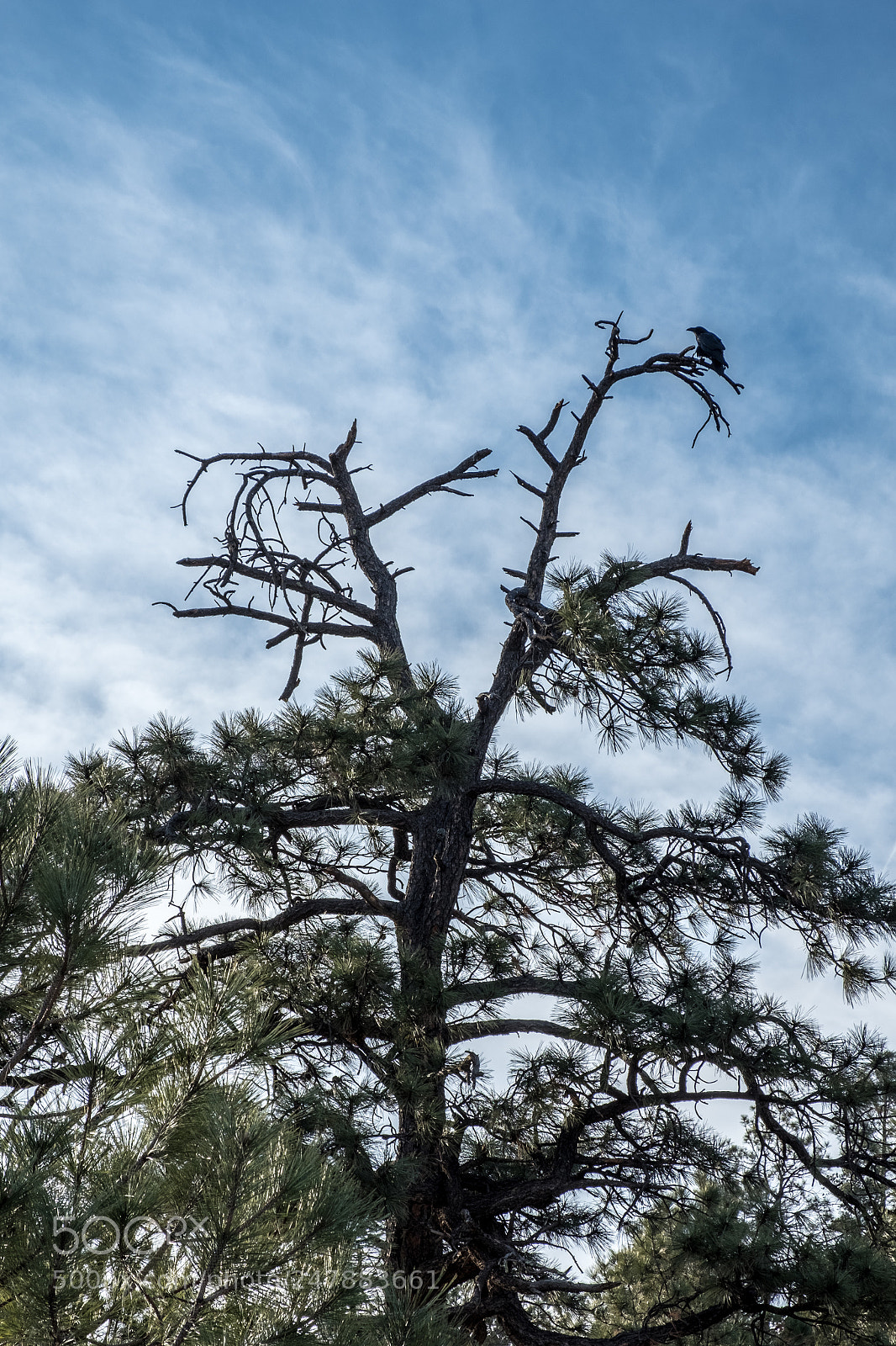 Fujifilm X-T2 sample photo. Hiking ruidoso photography