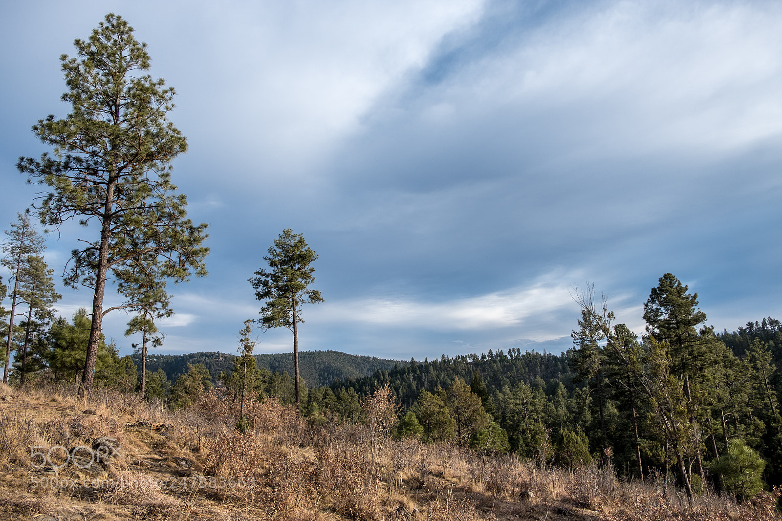 Fujifilm X-T2 sample photo. Hiking ruidoso photography