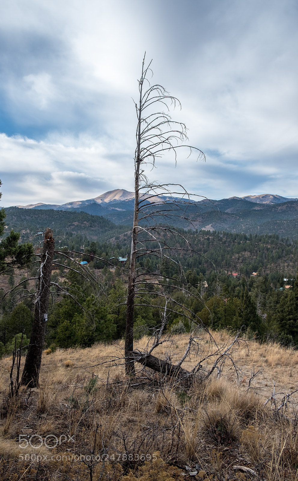 Fujifilm X-T2 sample photo. Hiking ruidoso photography