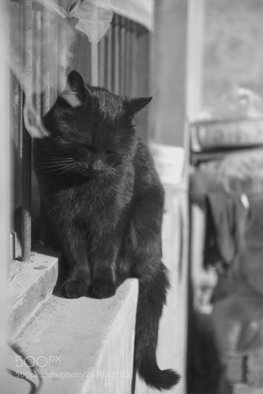 Nikon D7200 sample photo. 黑 photography