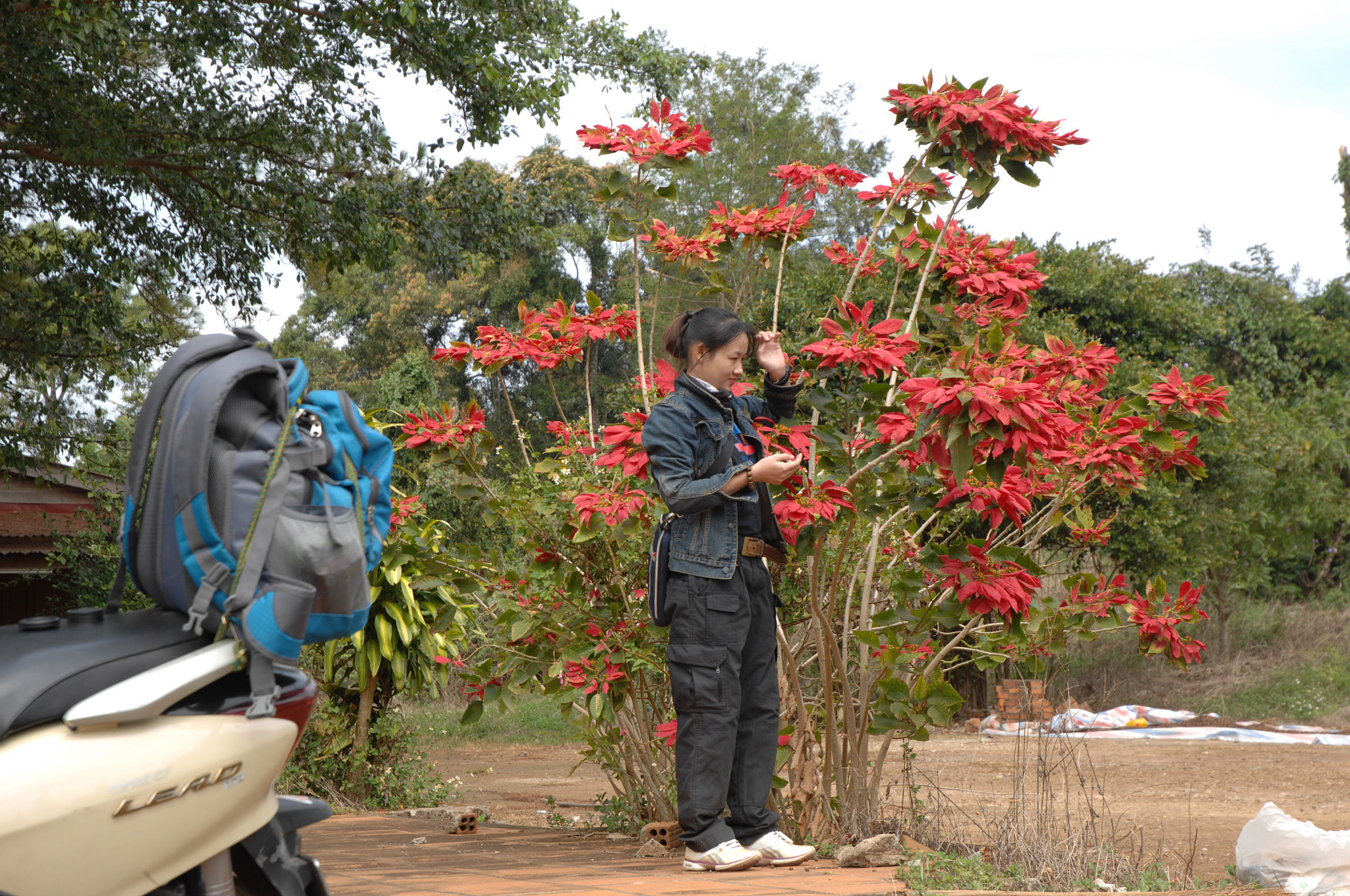 Nikon D2Xs sample photo. Dak nong vietnam photography