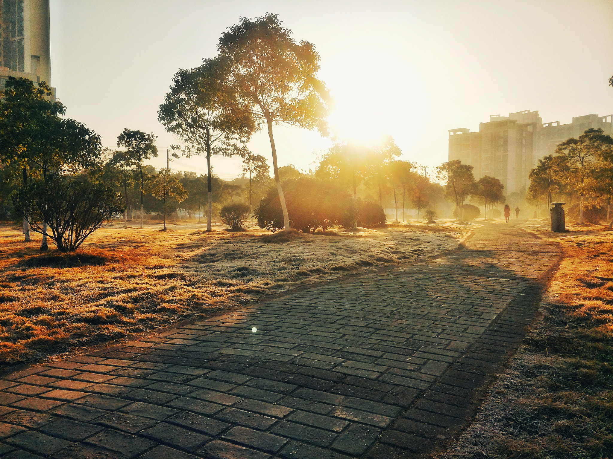 OPPO R9S sample photo. Morning light photography