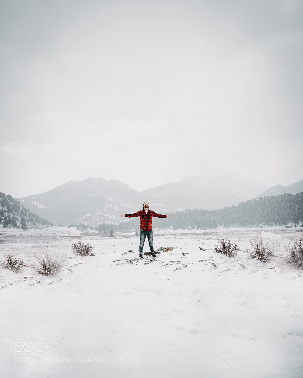 Sony a7R III sample photo. Feeling small photography