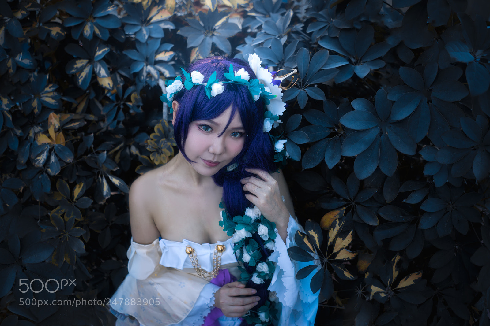 Sony a7 sample photo. Flower photography
