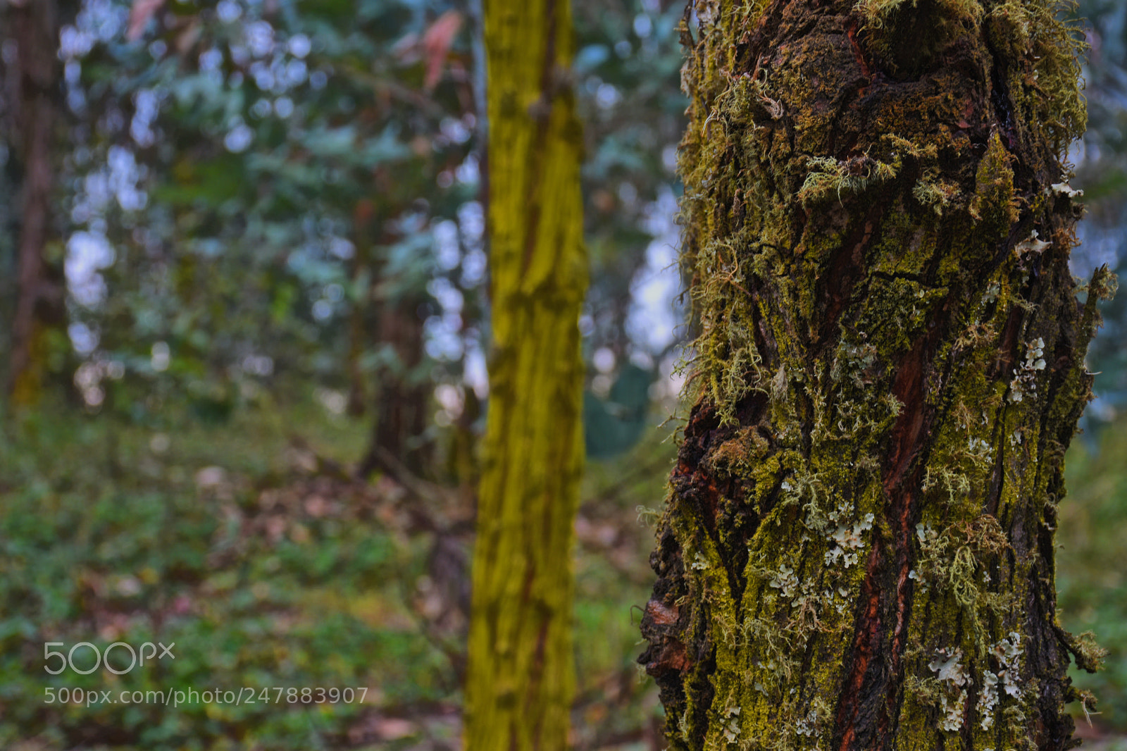 Nikon D7200 sample photo. Untitled photography