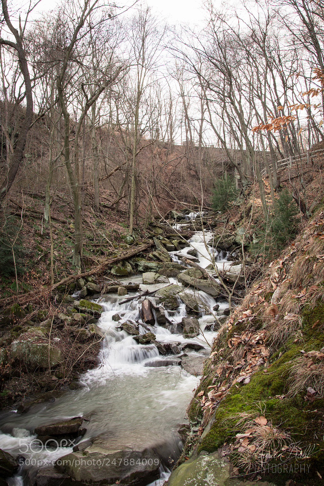 Nikon D7100 sample photo. Clarkes run cascades 001 photography