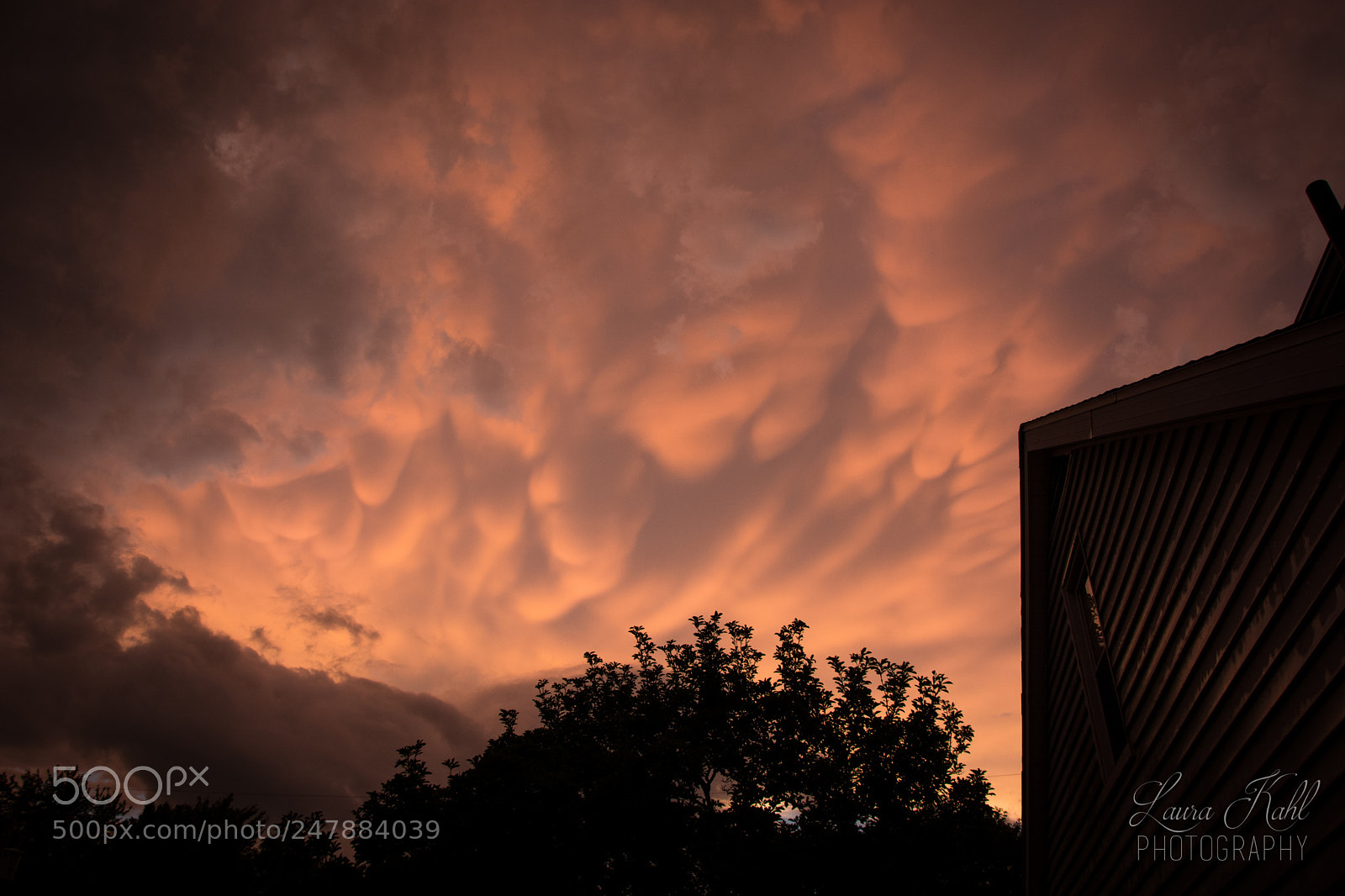 Nikon D7100 sample photo. Mammatus clouds 001 photography