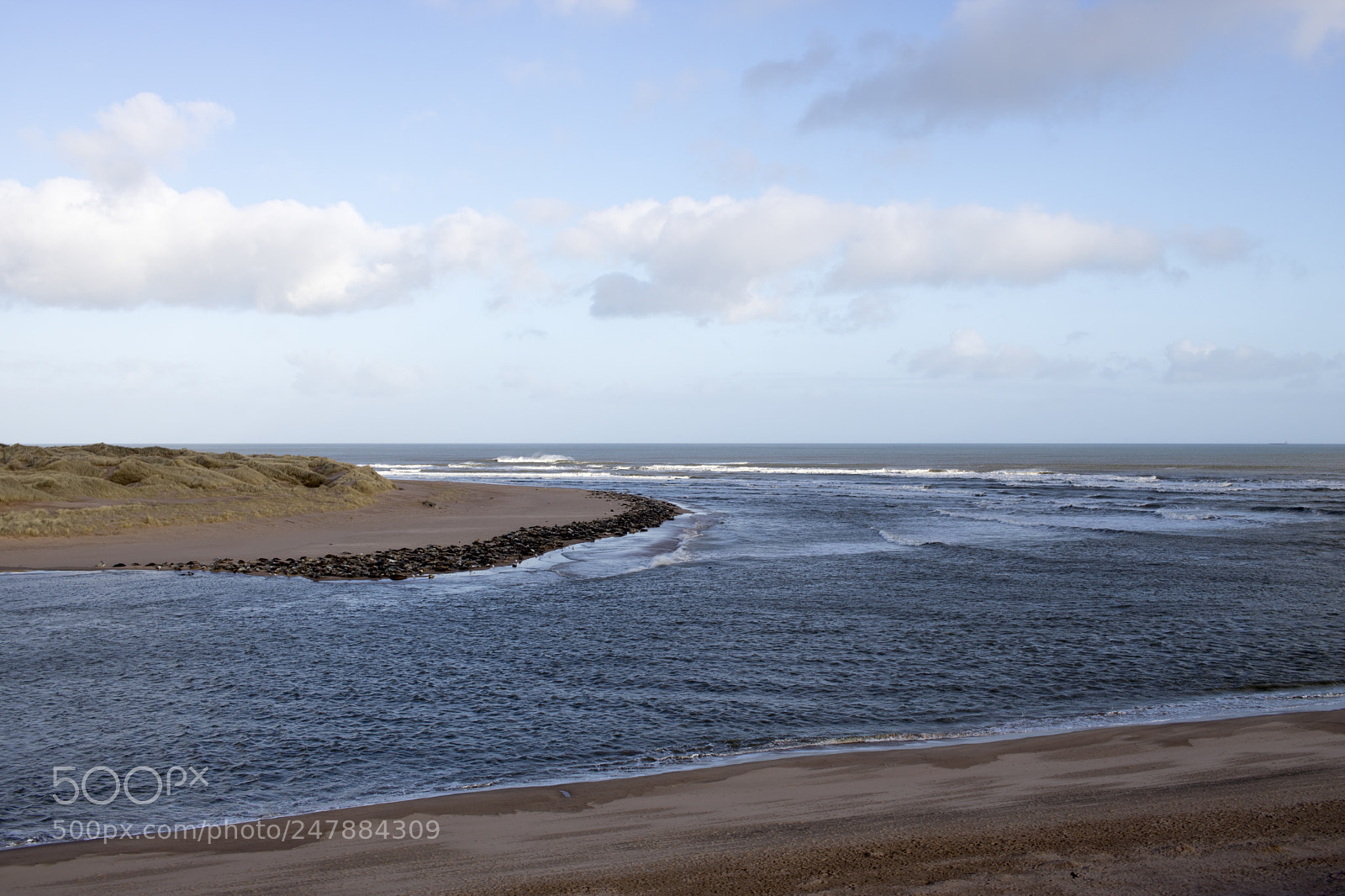Canon EOS 750D (EOS Rebel T6i / EOS Kiss X8i) sample photo. View of coastline at photography