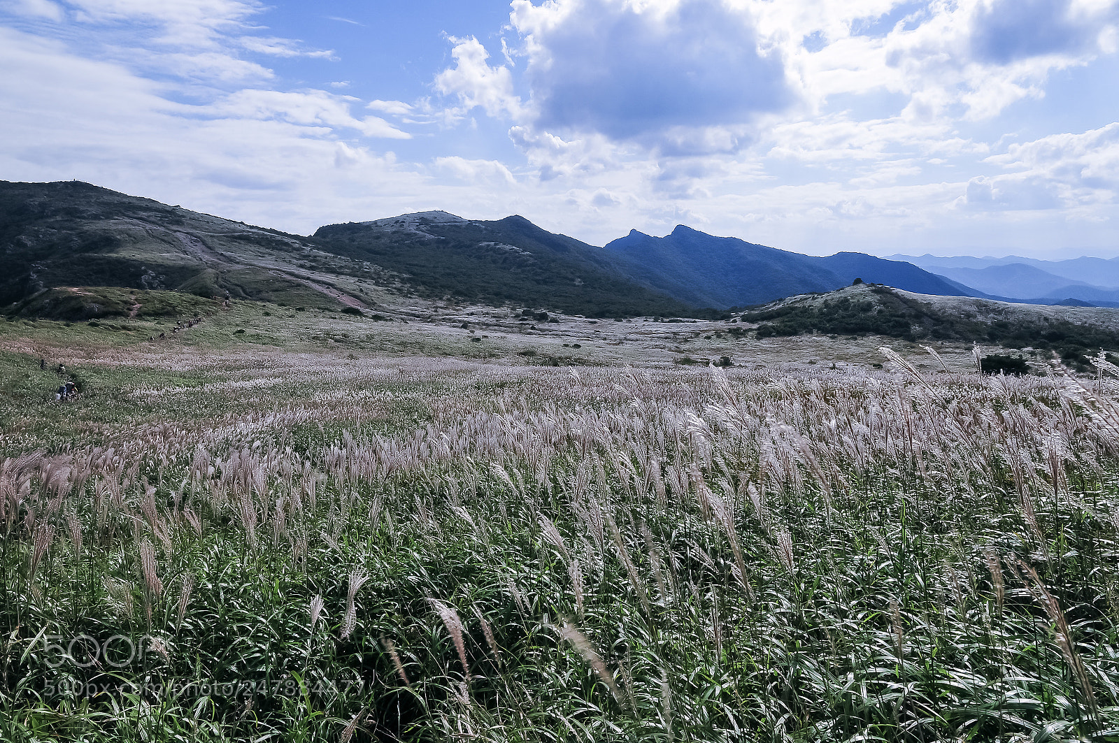 Nikon D300 sample photo. Hiking photography