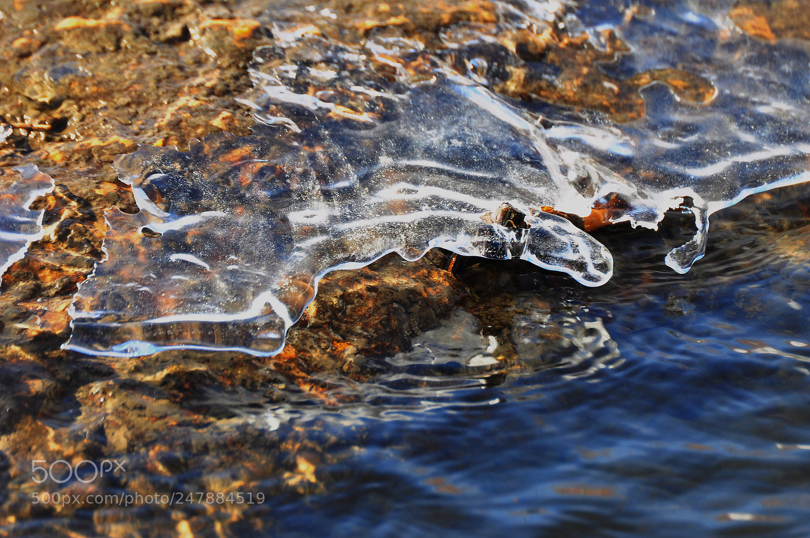 Nikon D90 sample photo. Nature photography