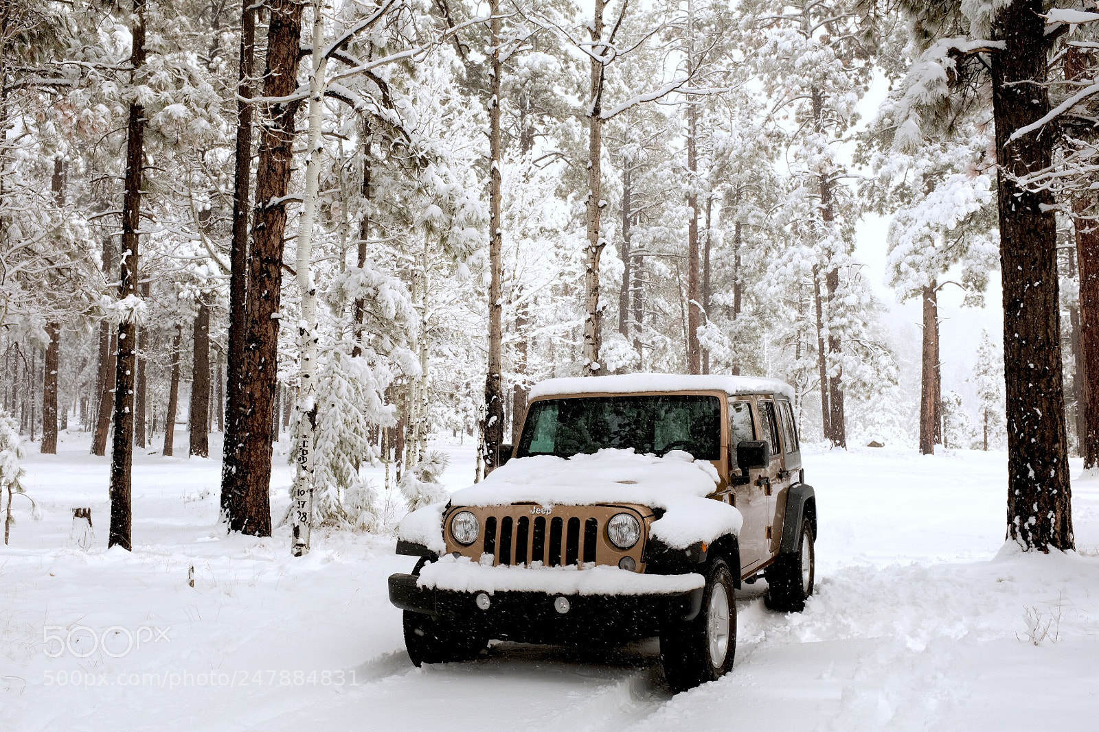 Fujifilm X100F sample photo. Jeep in forest photography