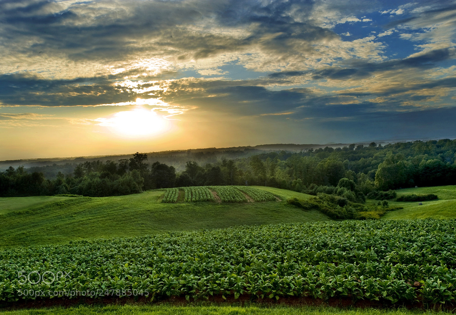 Nikon D3 sample photo. Sunset over the blue photography