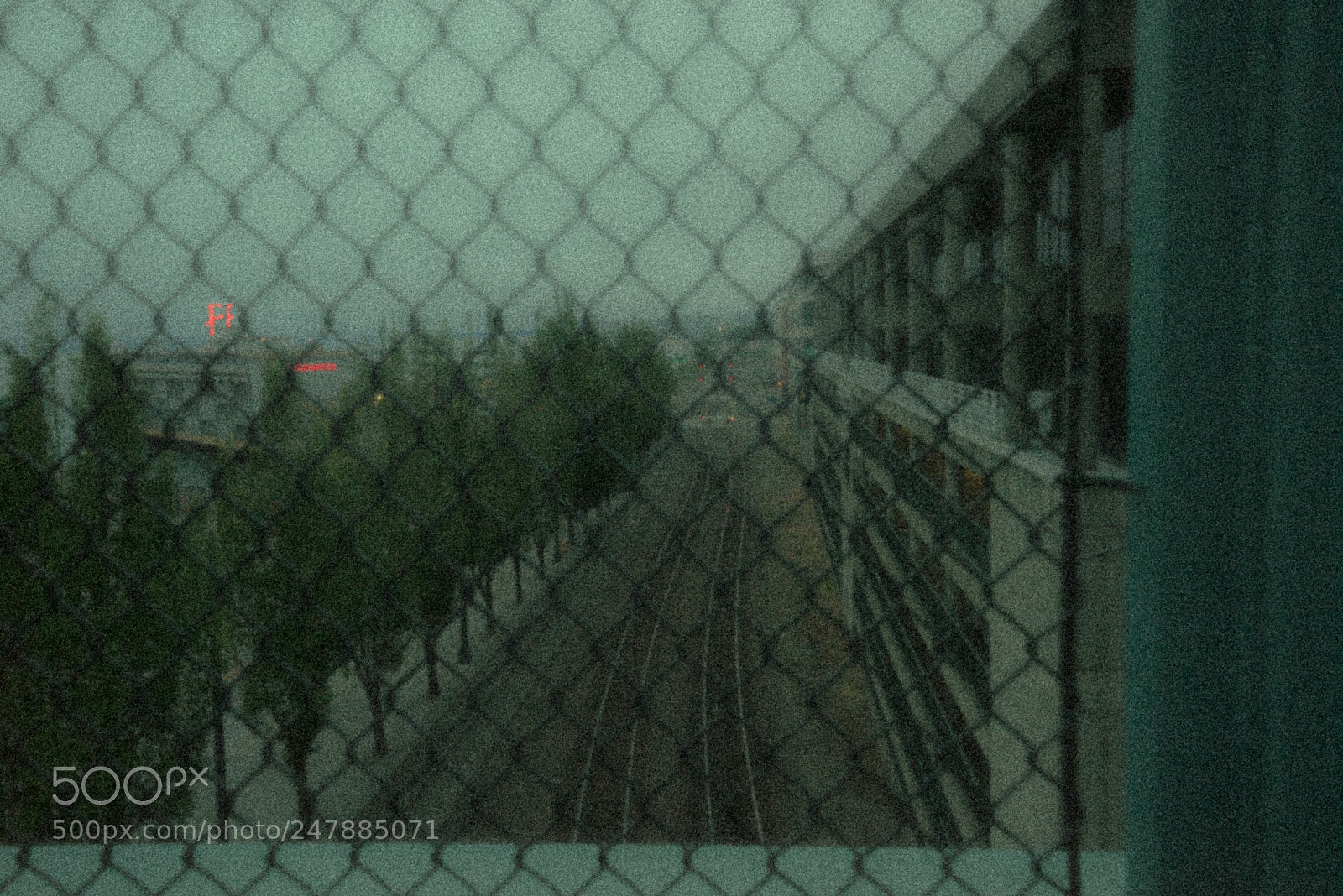 Sony a7R sample photo. In seattle photography
