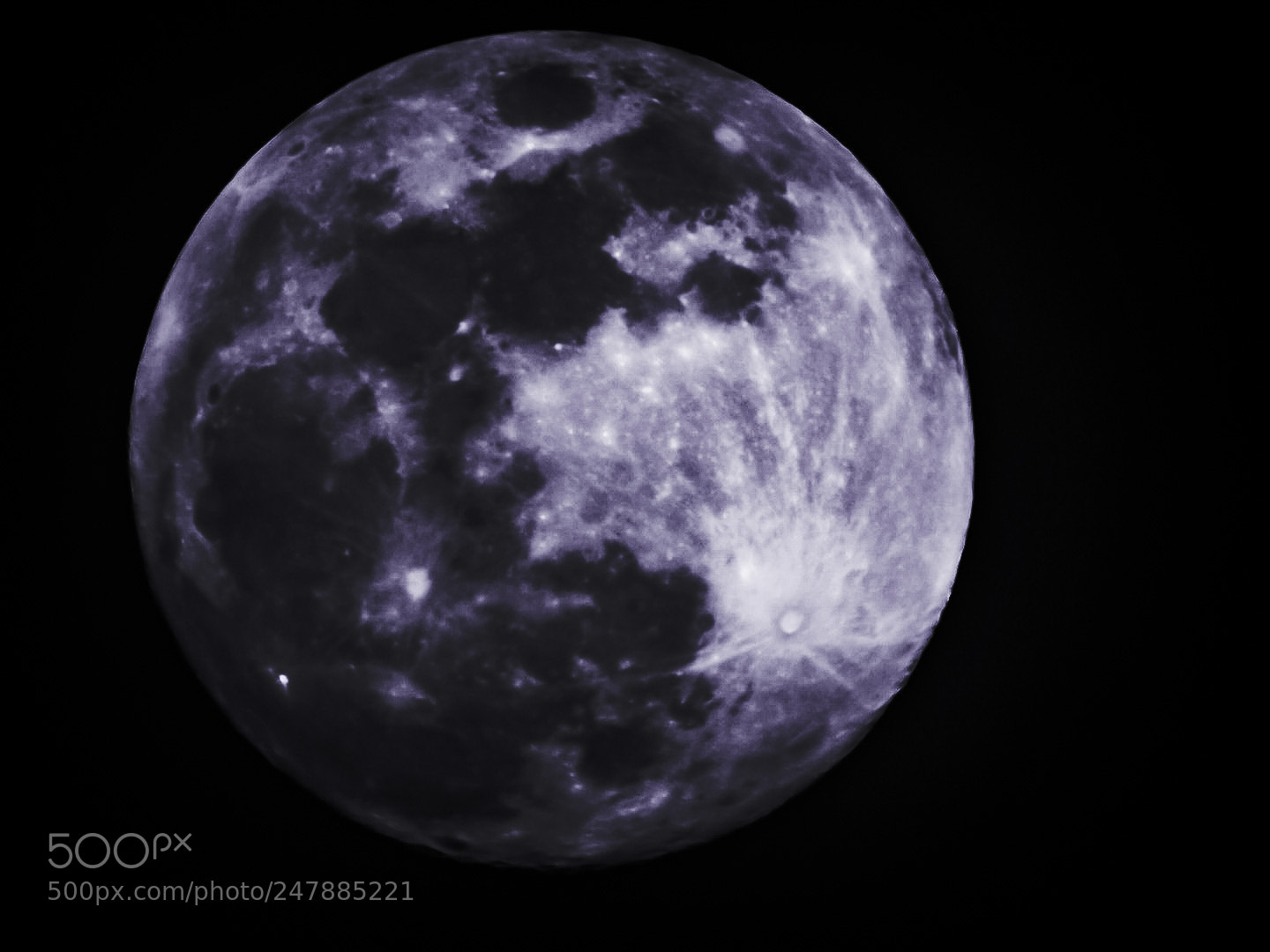 Nikon Coolpix P900 sample photo. Werewolf odyssey photography