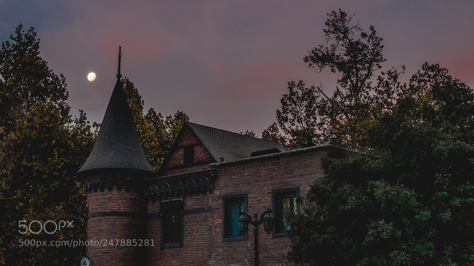 Canon EOS-1Ds Mark III sample photo. Castillo forestal photography