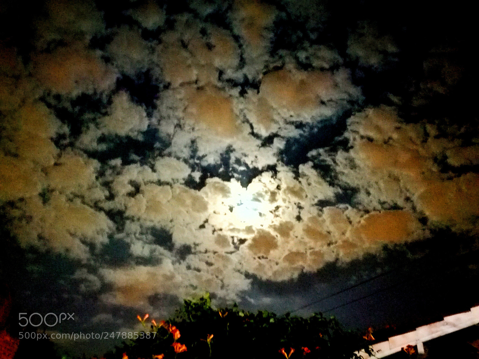 HUAWEI P9 LITE sample photo. Temperley 1/3/18 photography