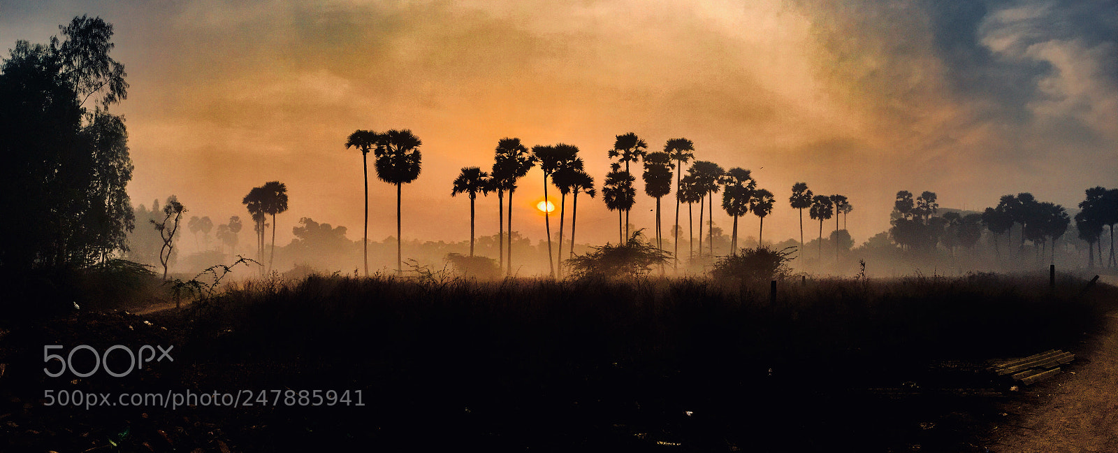 Apple iPhone 6 sample photo. Sunrise with fog photography