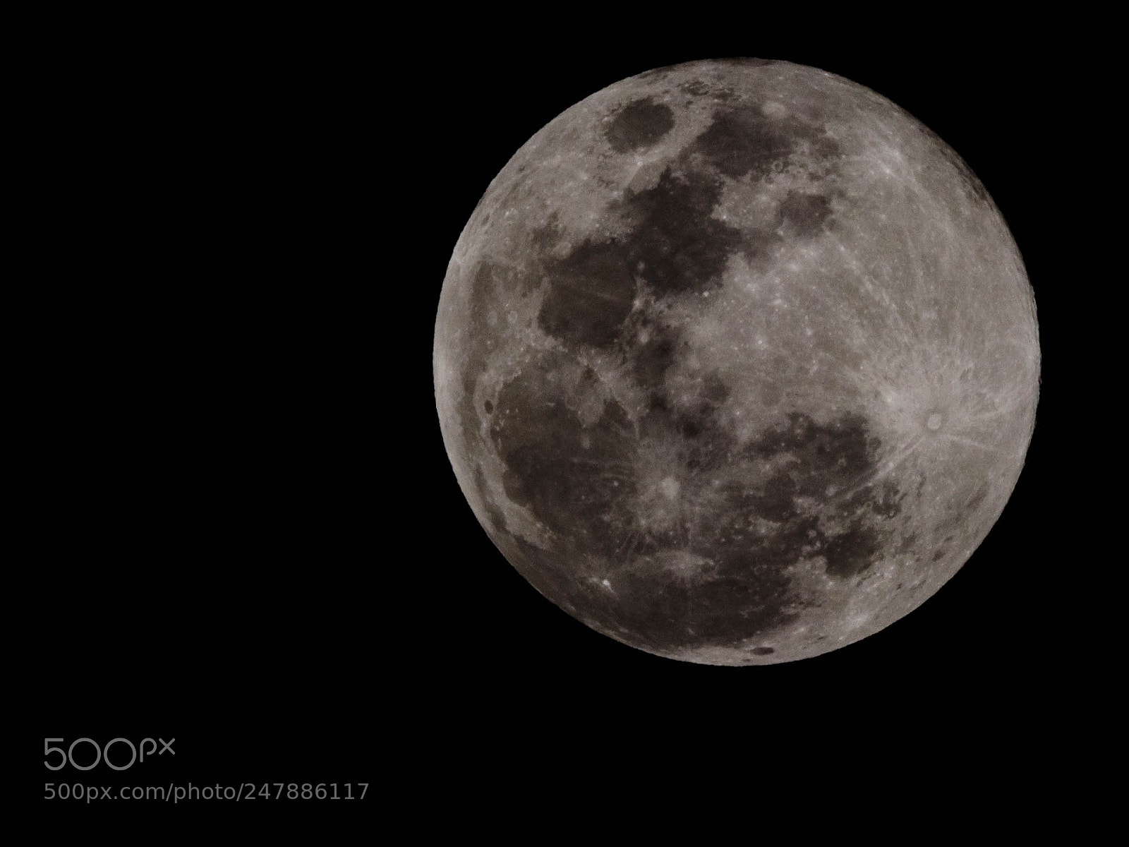 Olympus OM-D E-M1 Mark II sample photo. To the moon alice....to photography