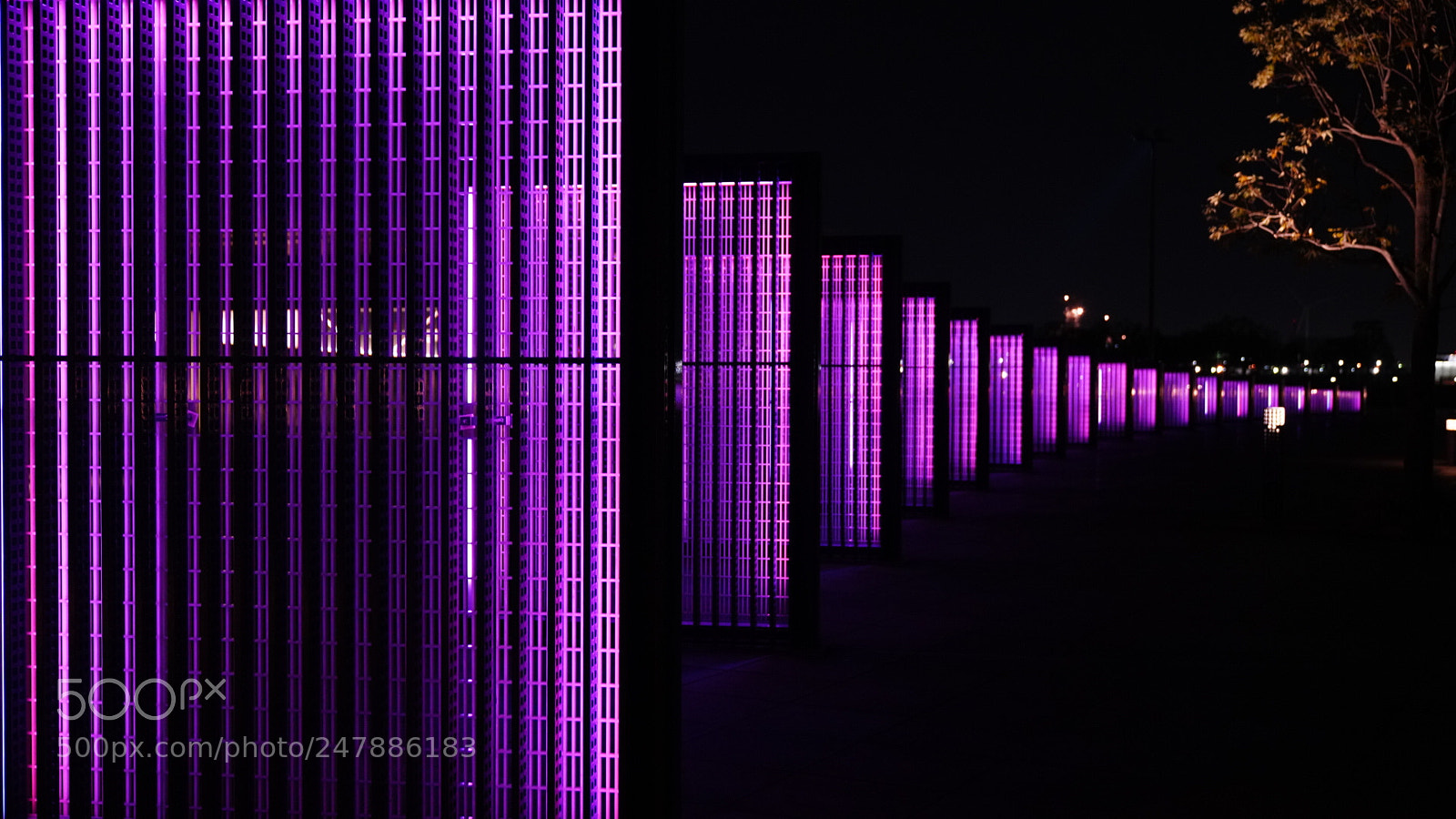 Sony a7R III sample photo. Night view illuminations at photography
