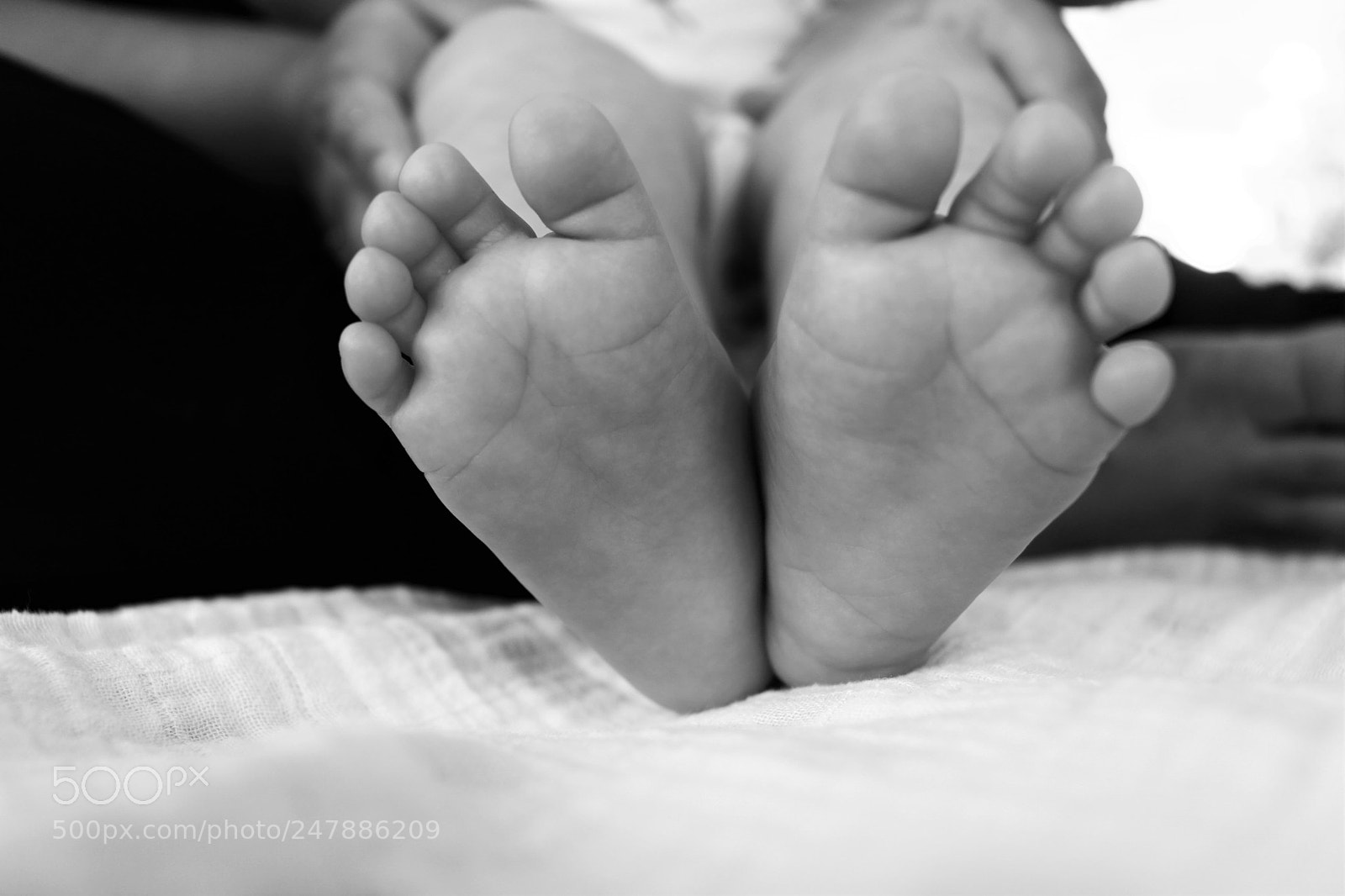 Canon EOS 100D (EOS Rebel SL1 / EOS Kiss X7) sample photo. Baby feet photography