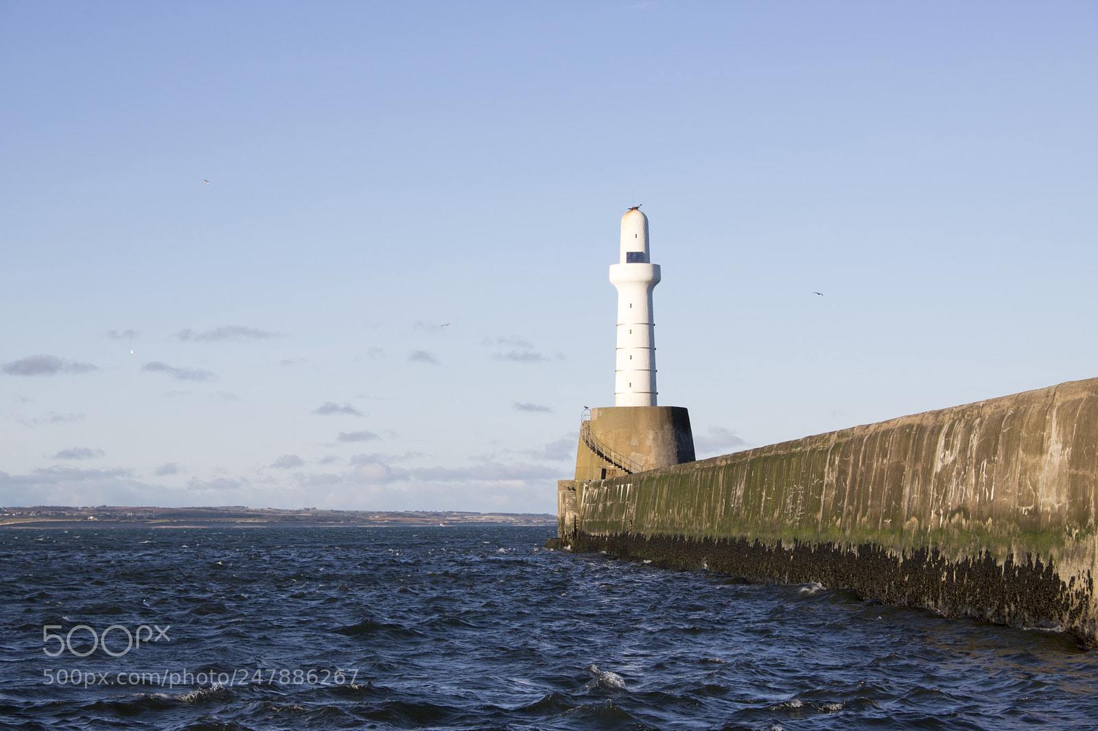 Canon EOS 750D (EOS Rebel T6i / EOS Kiss X8i) sample photo. Aberdeen lighthouse in front photography